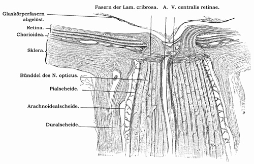 Fig. 366.
