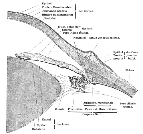 Fig. 368.