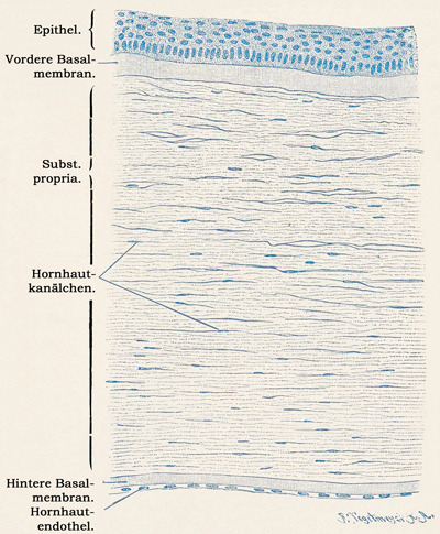 Fig. 372.
