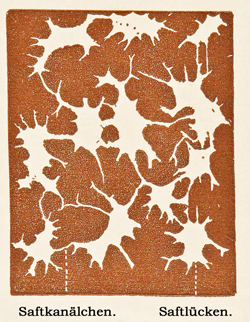 Fig. 373.