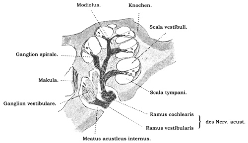 Fig. 380.