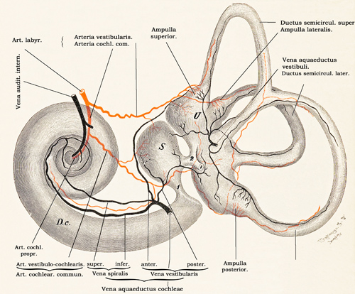 Fig. 388.