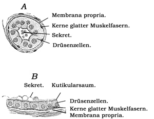 Fig. 391.